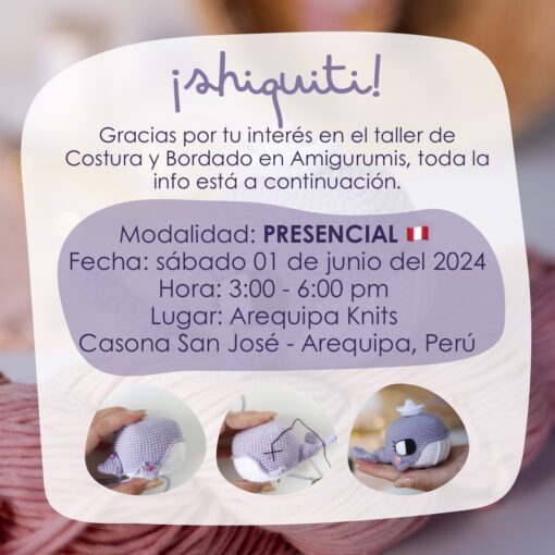TALLER PRESENCIAL Arequipa | Costura y Bordado en Amigurumis - Imagen 2